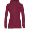 ICEBREAKER QUANTUM III LS ZIP HOOD CHERRY 23
